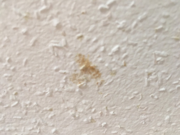 Ist das Schimmel? (Zimmerdecke)? (Gesundheit und Medizin, Freizeit, Leben)