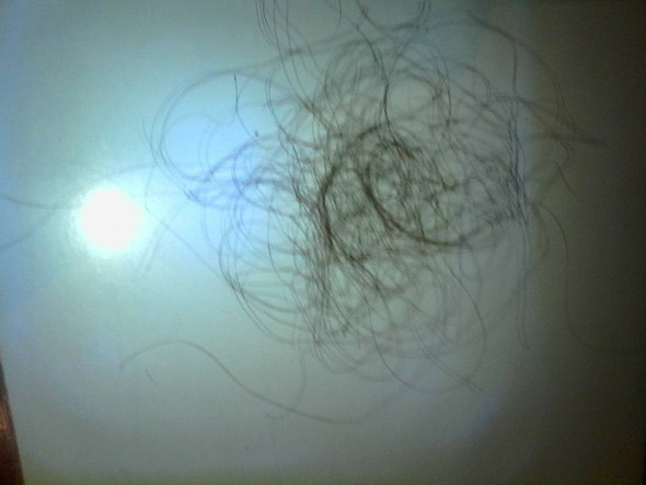 schon haarausfall oder ist das normal