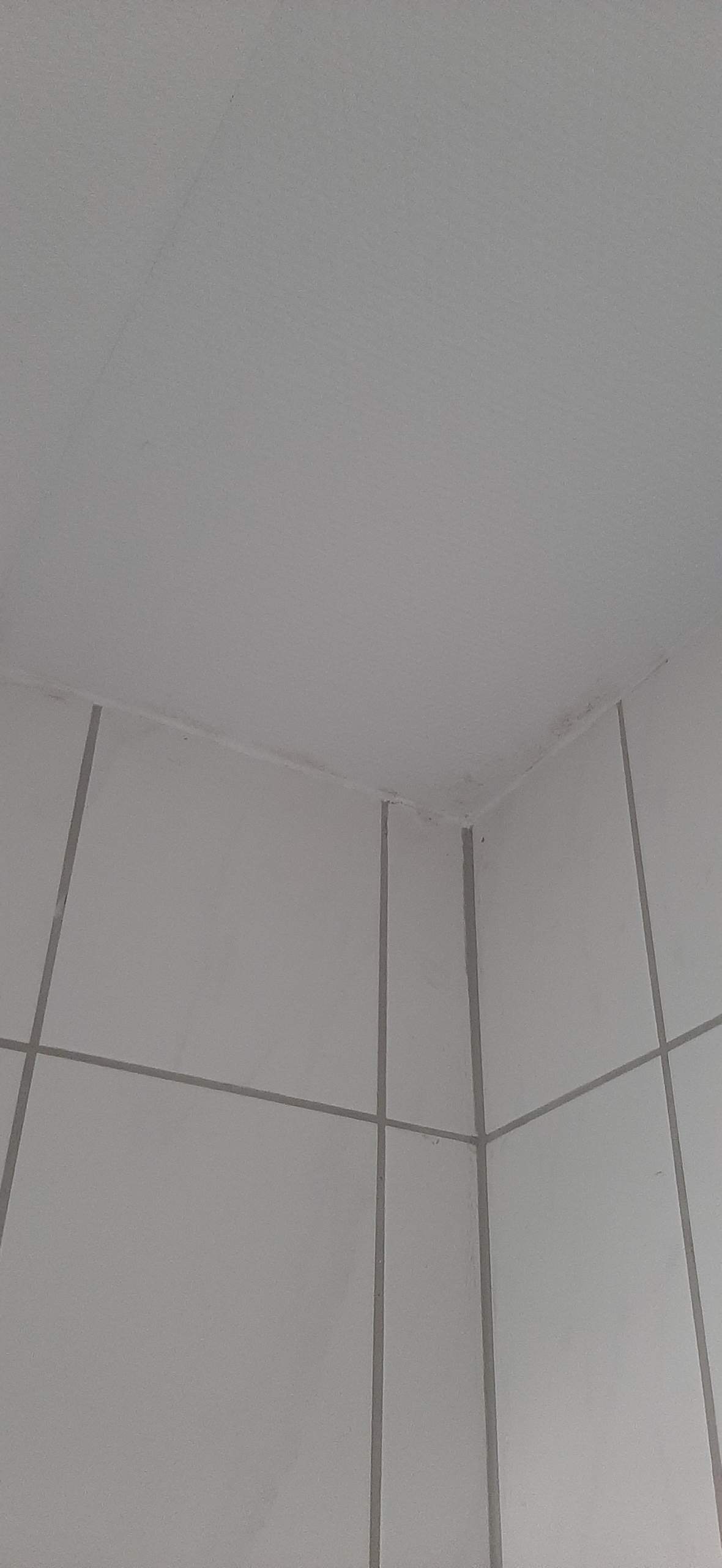 Ist das schon Schimmel an der Decke? (Gesundheit, Wohnung, Haushalt)