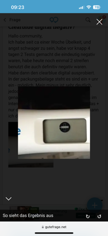 Bild zum Beitrag