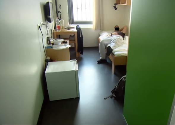 Bild zum Beitrag