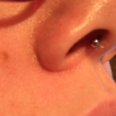 Ist Das Septum Zu Weit Unten Gestochen Piercing Nase Piercer Ist Das Septum Zu Weit Unten Gestochen Piercing Nase Piercer
