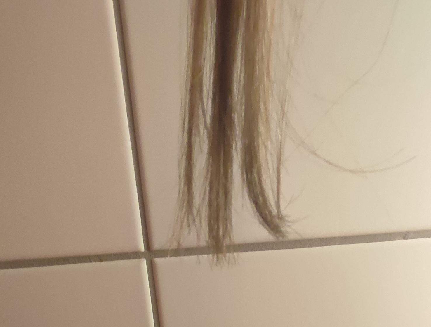 Spliss Erkennen Bilder | Spliss entfernen: Tipps, um den Haarbruch ...