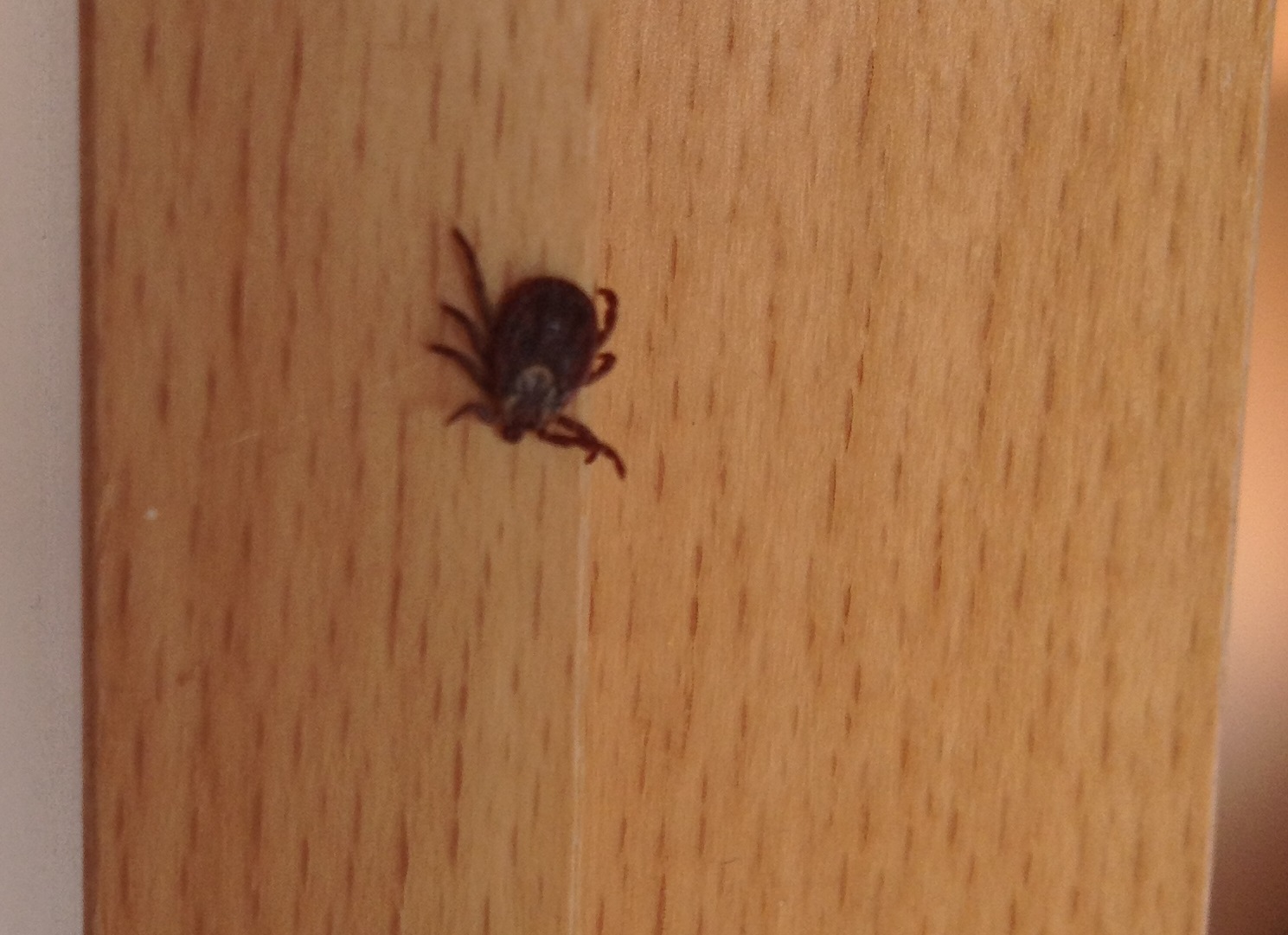 Wie sieht glück aus Wie sieht glück aus