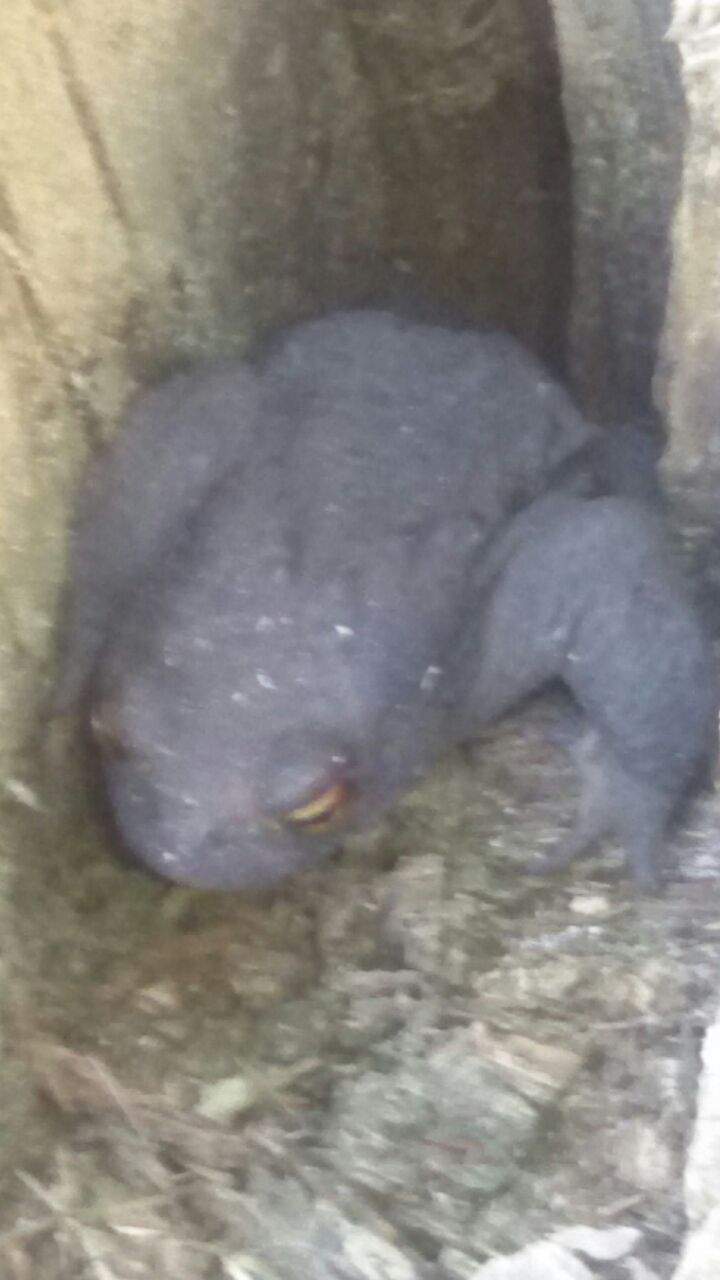 Ist das trotz der Farbe eine