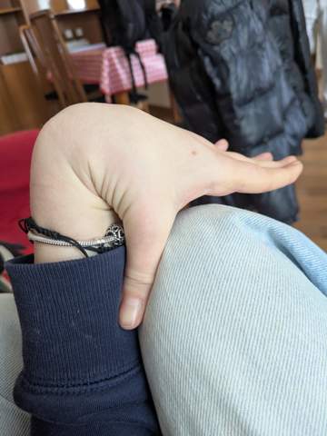 Bild zum Beitrag