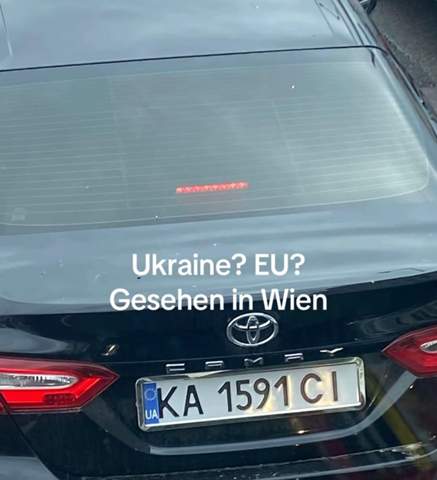 Bild zum Beitrag