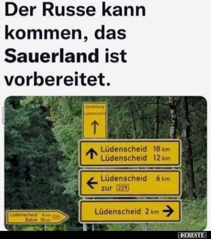 Bild zum Beitrag