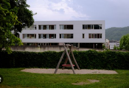 Bild zum Beitrag