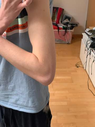 Bild zum Beitrag