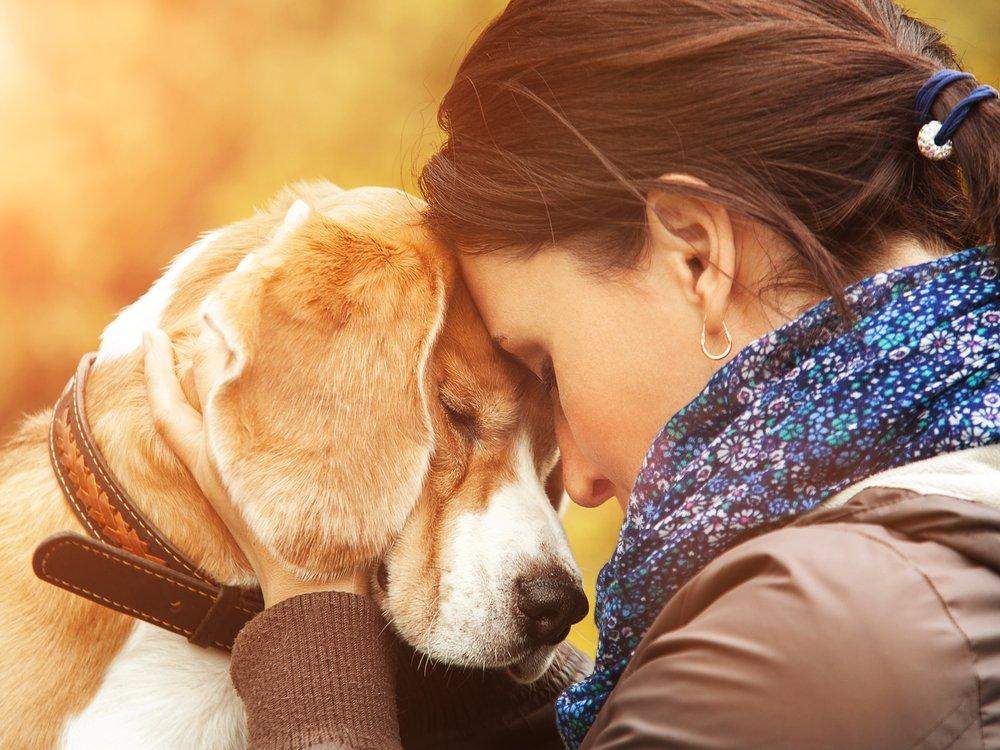 Ist der Hund der beste Freund des Menschens? (Menschen)