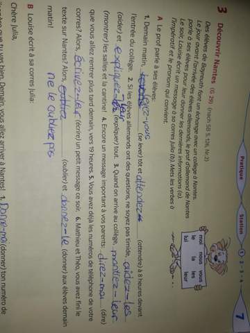 - (Schule, Sprache, Grammatik)