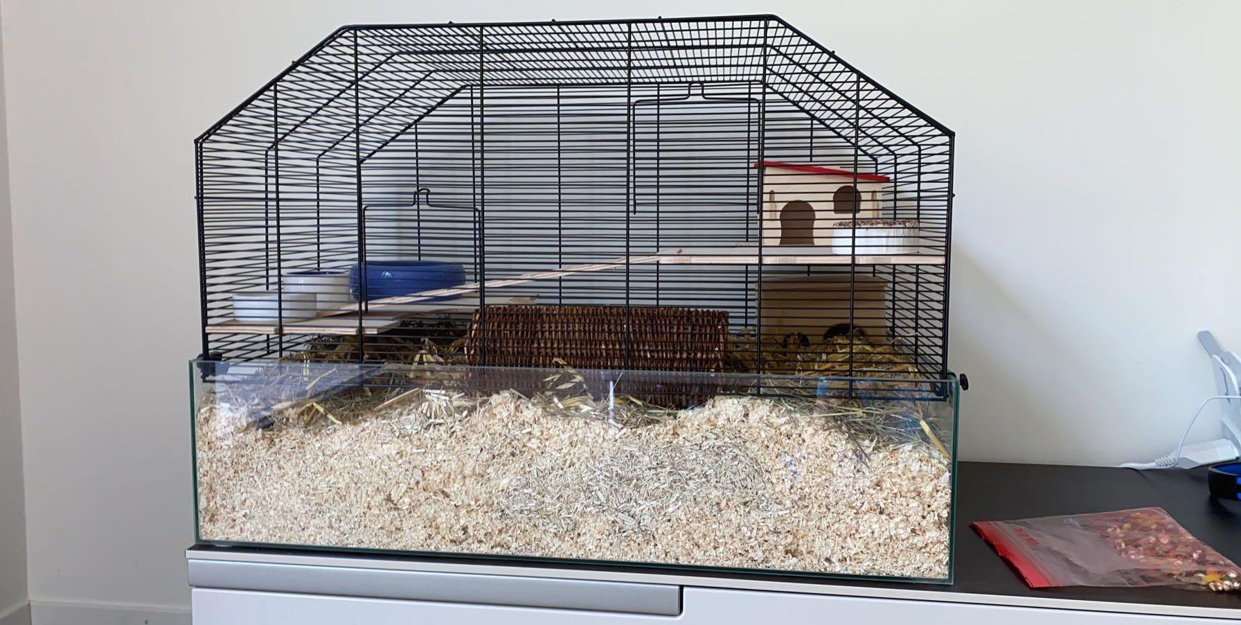 Ist der Käfig Artgerecht für meinen Zwerghamster? (Tiere, Hamster ... - 0 Original Ist der Käfig Artgerecht für meinen Zwerghamster? (Tiere, Hamster ... - 0 Original