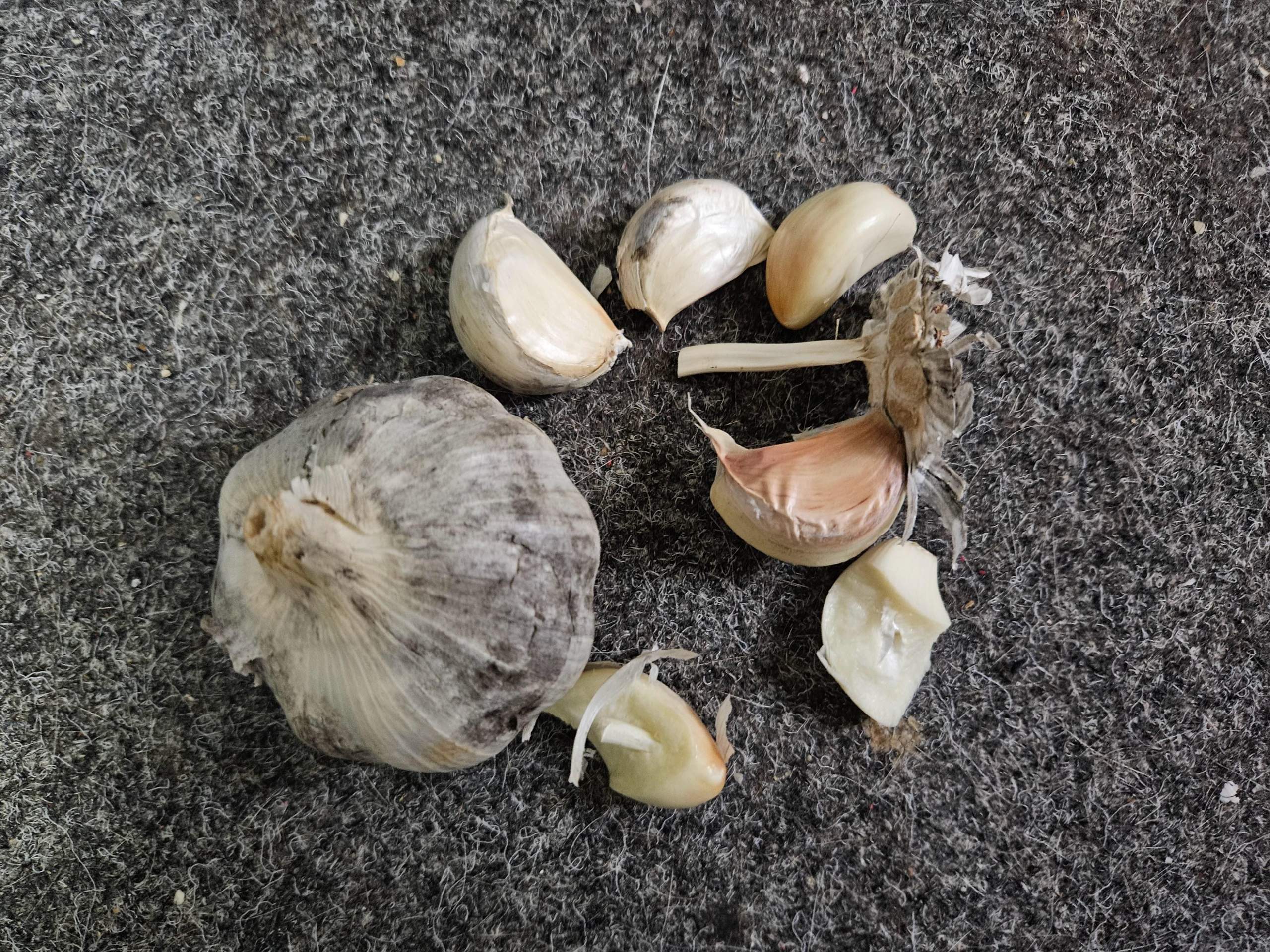 Ist der Knoblauch schlecht oder ist das normal? (Lebensmittel, Gemüse, vergammelt)