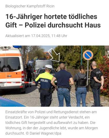 Bild zum Beitrag