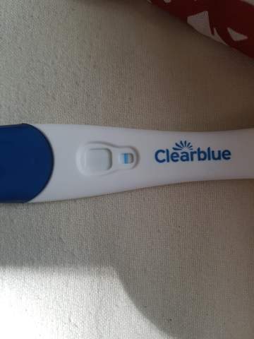 Clearblue Die Meistgelesenen Fragen