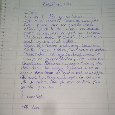 Das ist der Text - (Schule, Grammatik, franzoesisch)