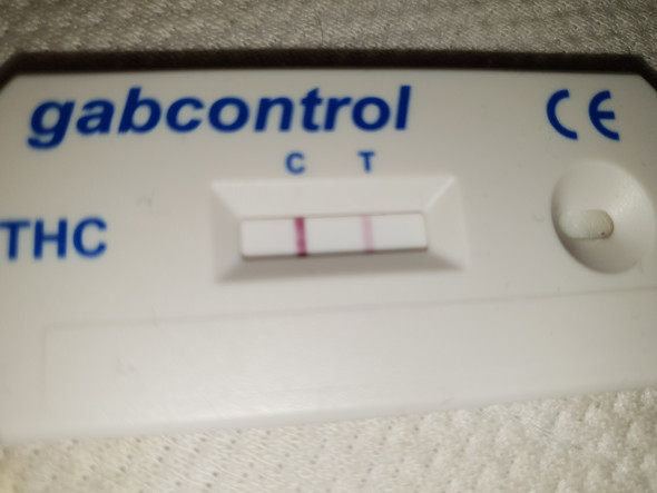 Ist der THC Test (gabcontrol) positiv oder negativ? (Drogen)