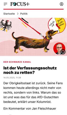 Bild zum Beitrag