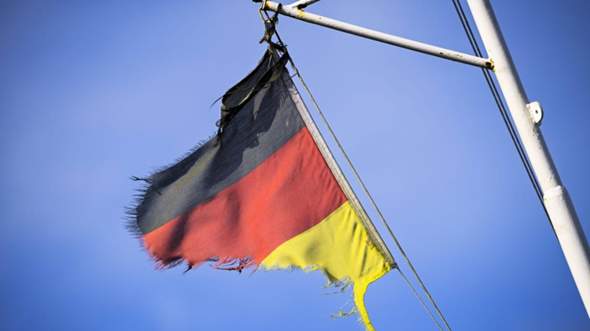 Bild zum Beitrag
