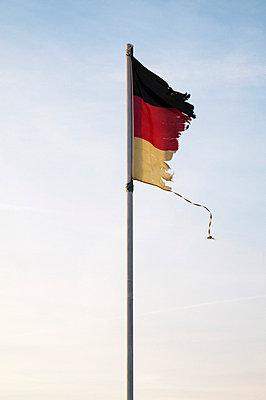 Bild zum Beitrag