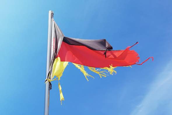 Bild zum Beitrag