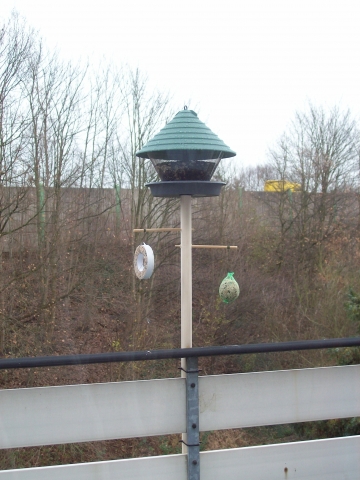Ist die 2. Etage etwa zu hoch für ein Futterhaus? (Wohnung, Garten, Natur)