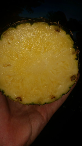 Oben - (Schlecht, Ananas)