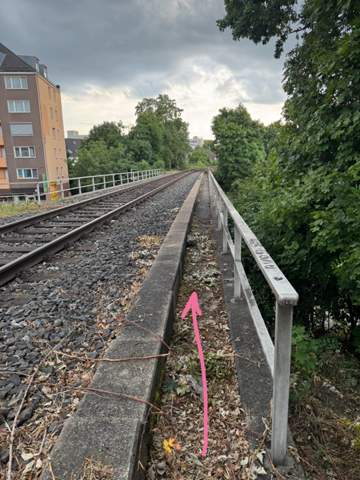 Bild zum Beitrag
