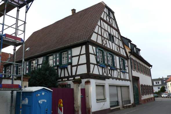 Bild zum Beitrag