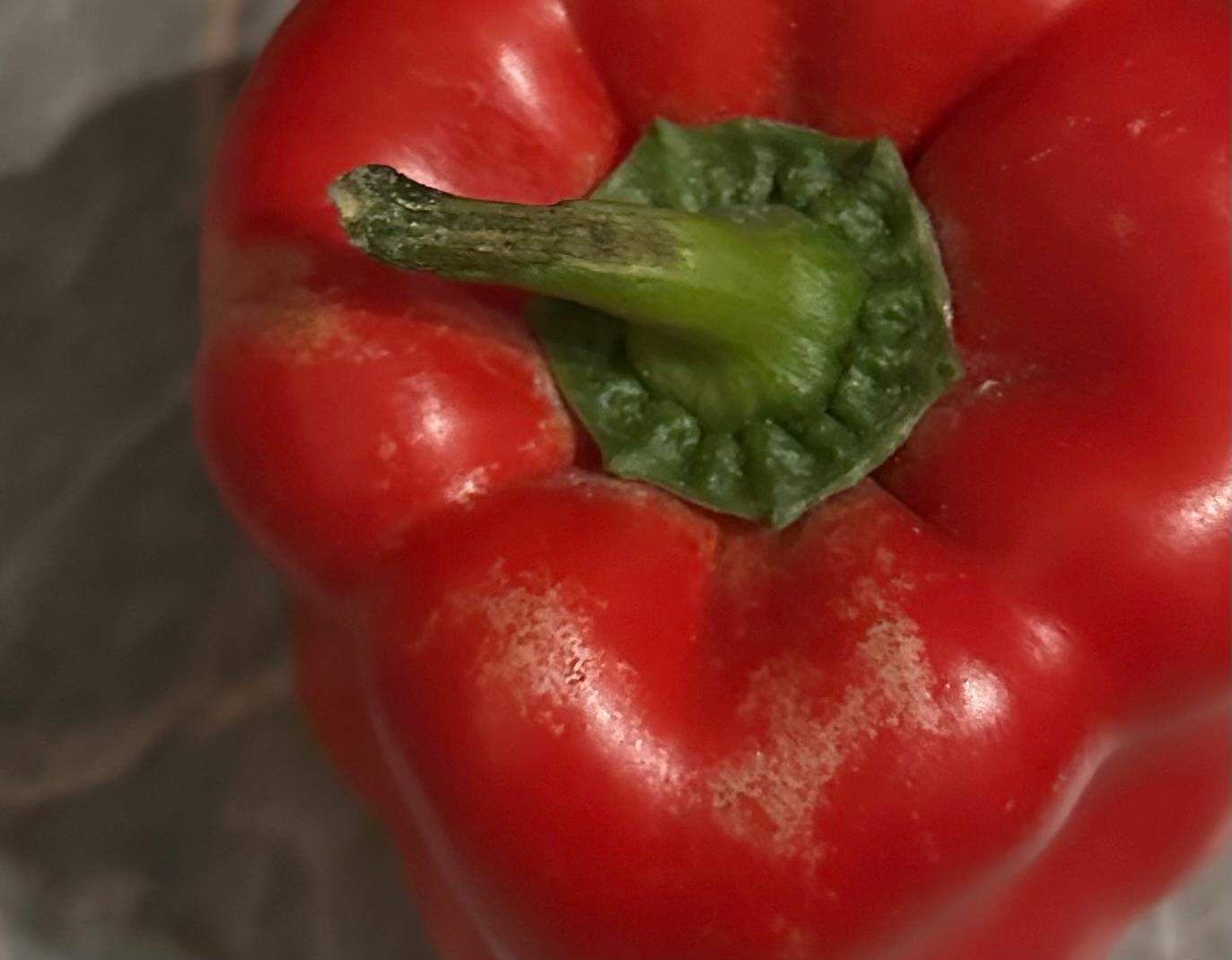 Ist die Paprika noch gut? (Schimmel, Haltbarkeit, Gemüse)