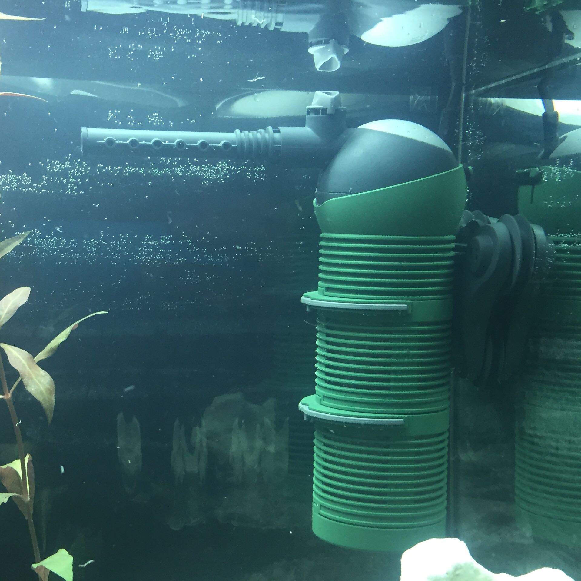 Ist die Pumpe richtig an der Stelle? (Aquarium, noob)