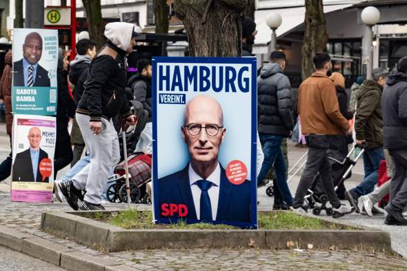 Bild zum Beitrag