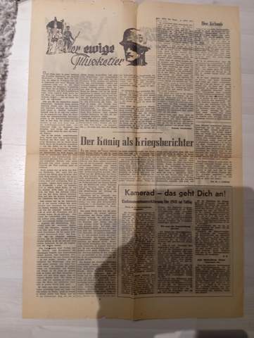 Bild zum Beitrag