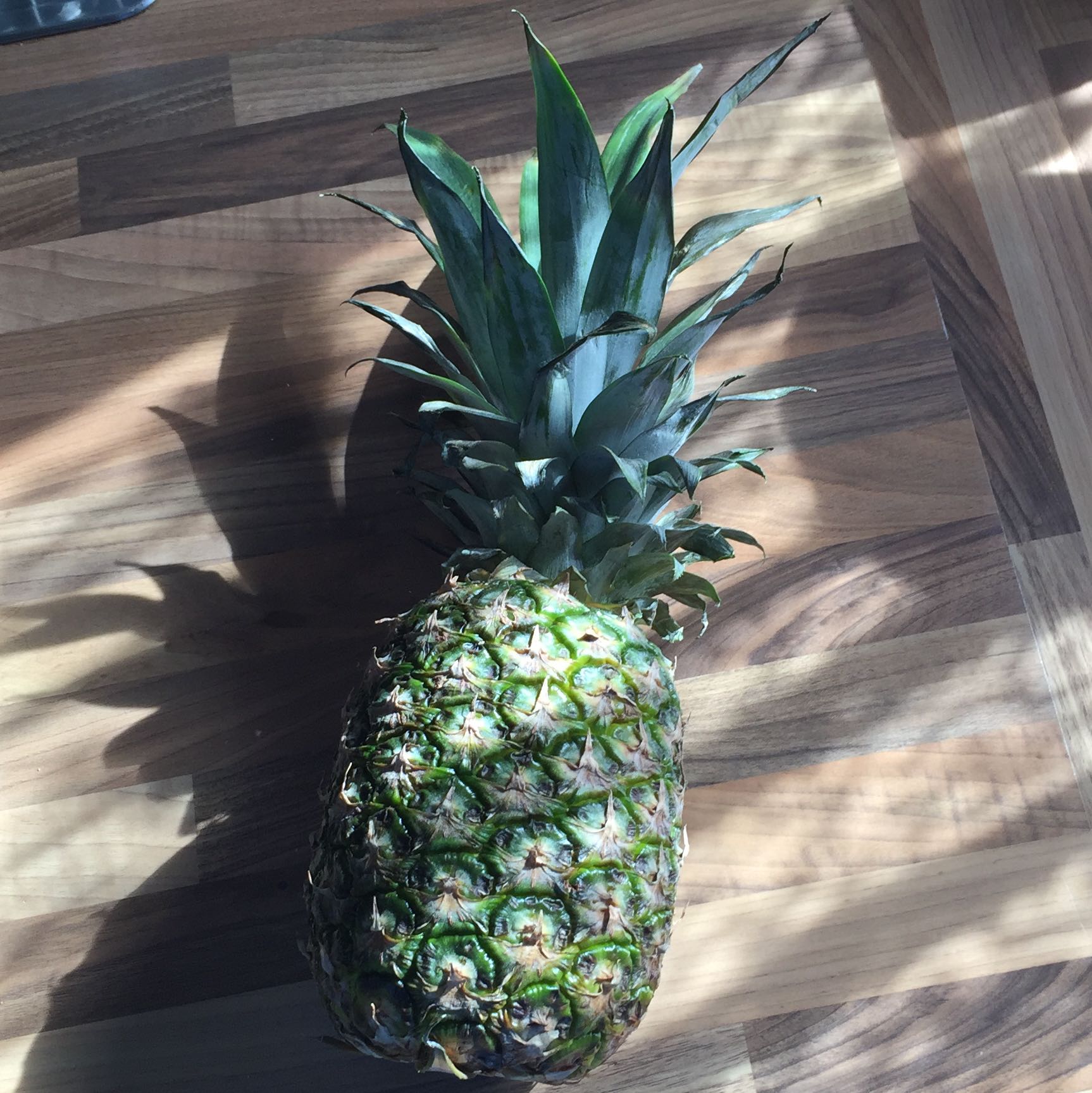 Ist Diese Ananas Reif