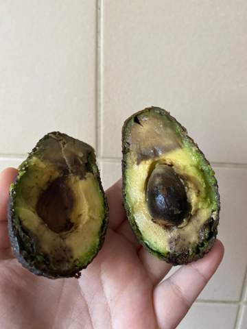 ist diese avocado noch gut?