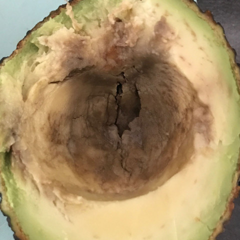 Ist Diese Avocado Noch Gut Essen Reif
