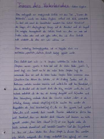 Bild zum Beitrag
