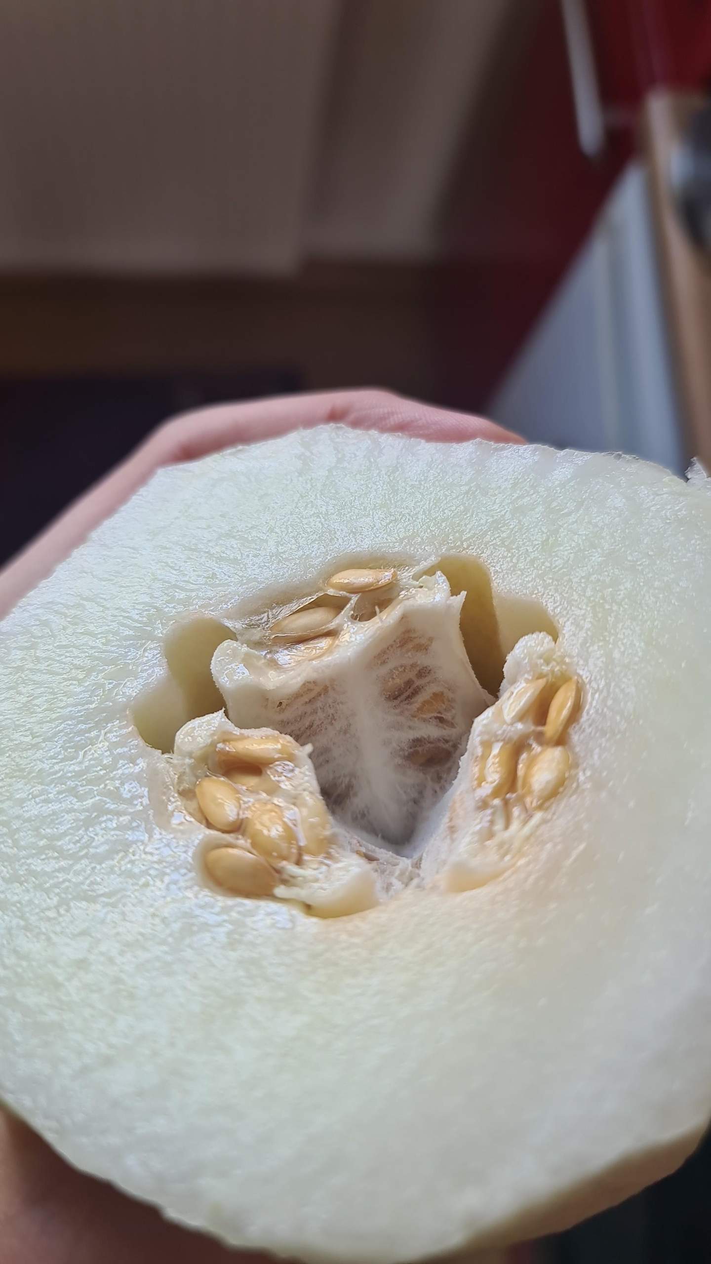 Ist diese honig melone schimmelig hier innen? (Schimmel, Obst)