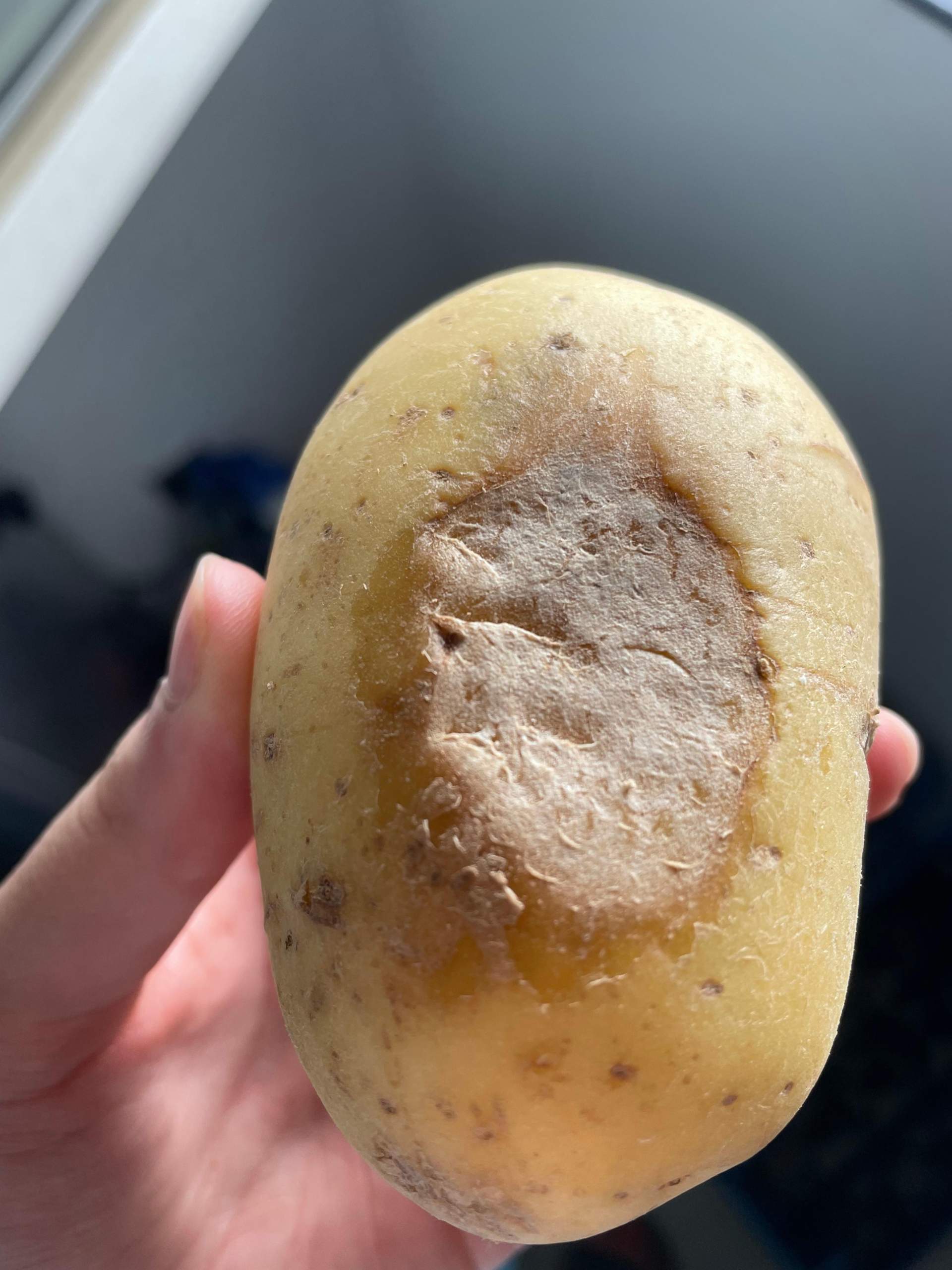 ist diese kartoffel hier verschimmelt (siehe bild)? (Schimmel, Obst ...