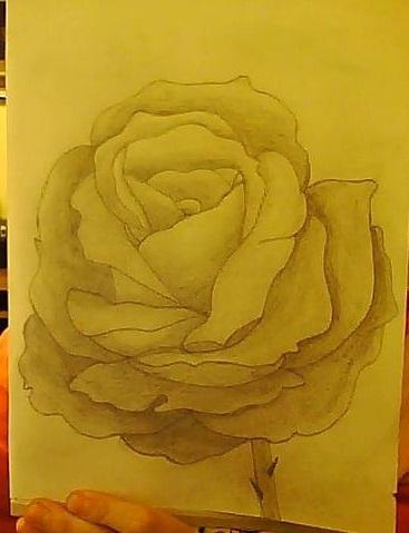 Meine selbst gezeichnete Rose - (Bilder, Kunst, zeichnen)