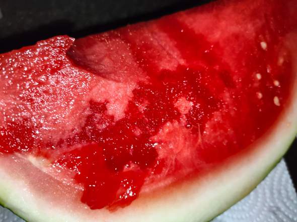 Ist diese Wassermelone faul?