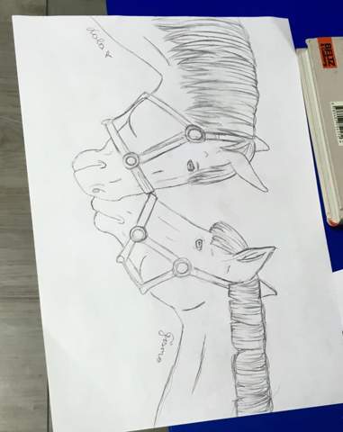 Ist Diese Zeichnung Gut Bleistift Kunst Zeichnen Skizze