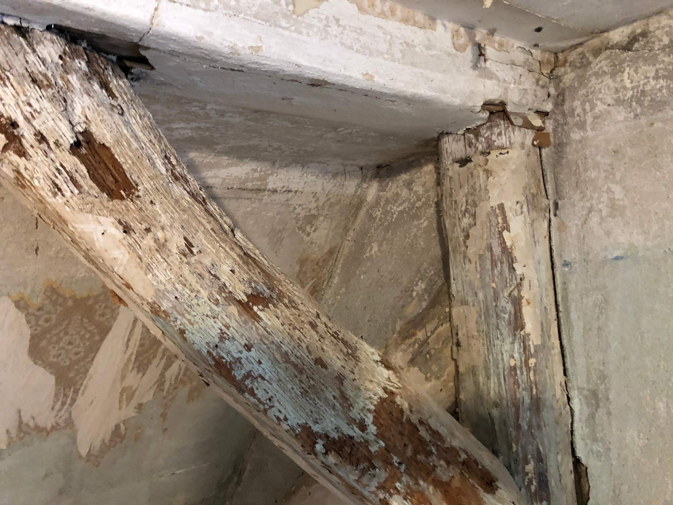 Ist dieser Holzbalken noch zu retten? (Holz, heimwerken, reparieren)