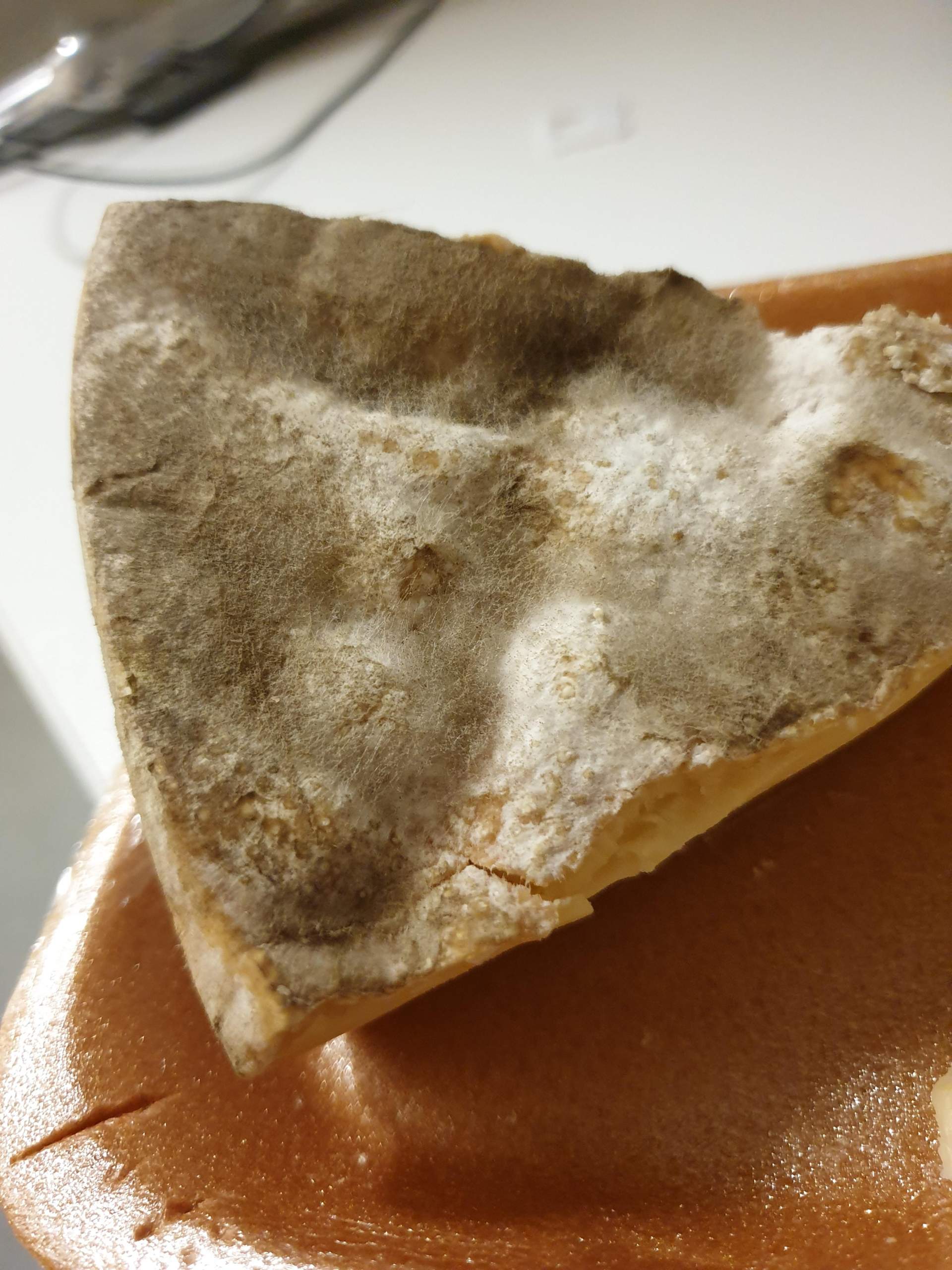 Ist dieser Schimmel am Käse normal? (Gesundheit, Nahrungsmittel)