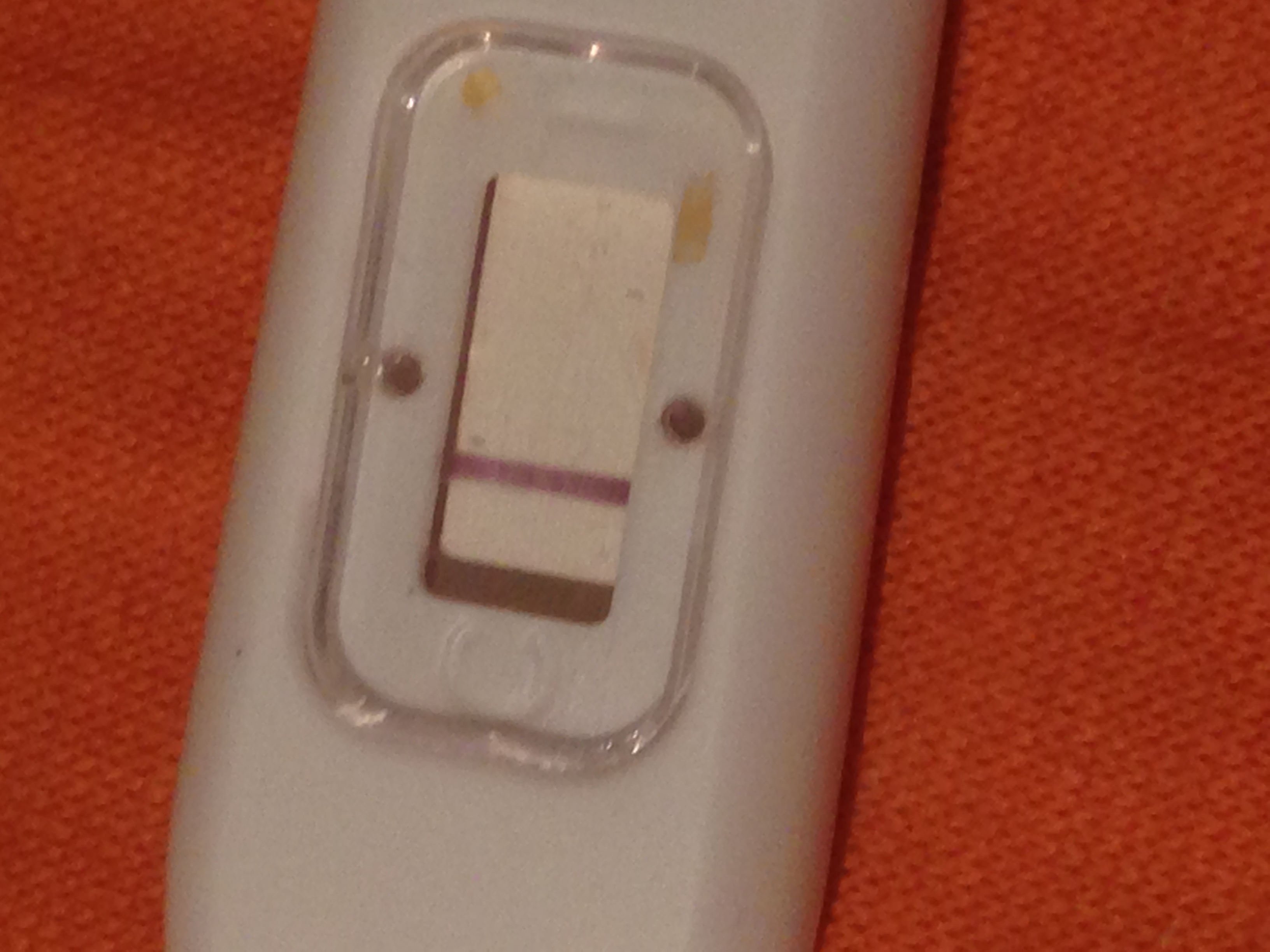 10 tage nach gv schwangerschaftstest