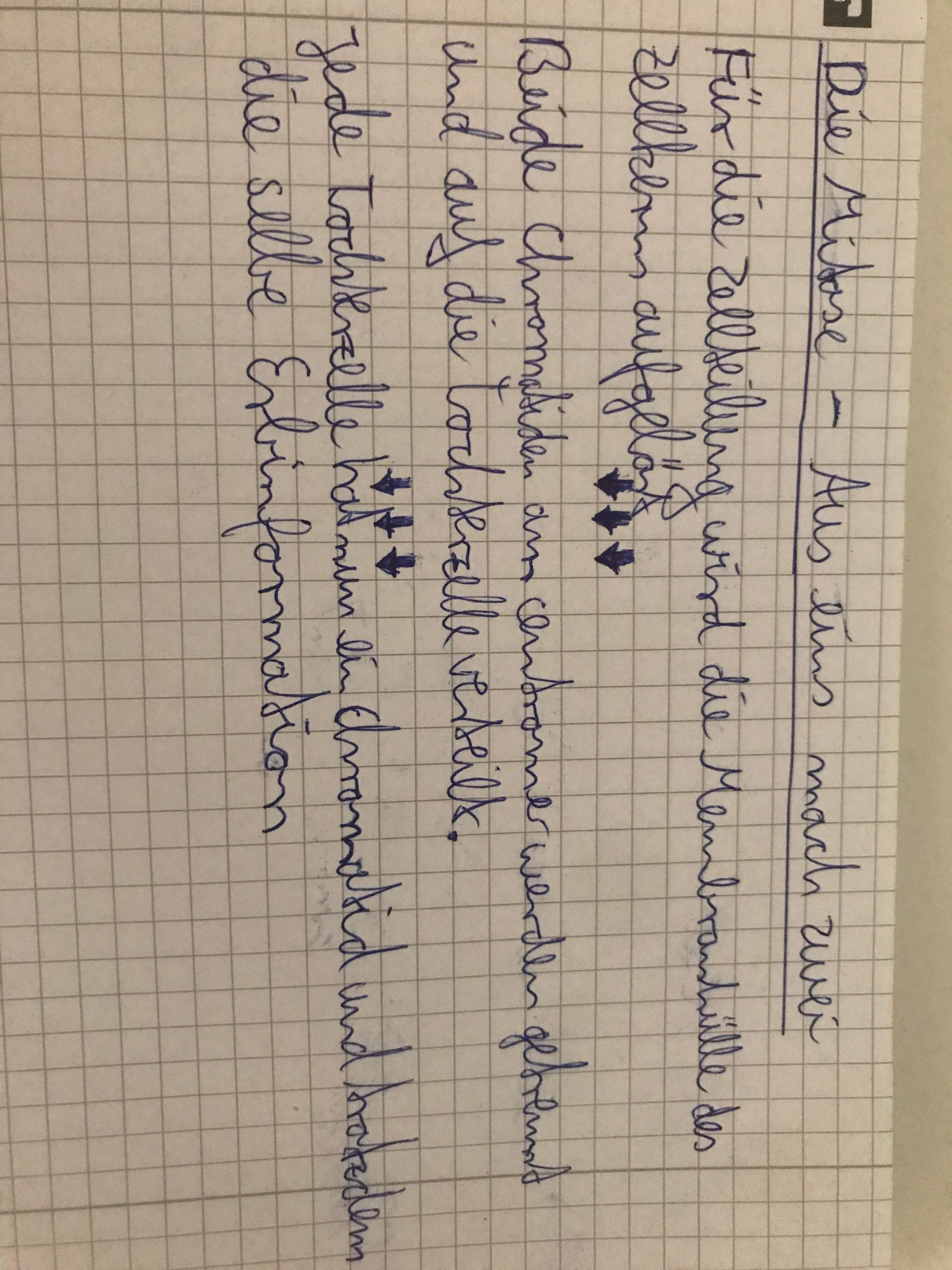 Ist ein Fließschema so richtig? (Schule, Deutsch, Biologie)