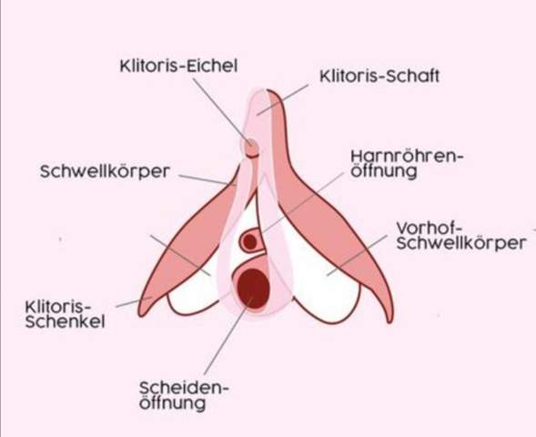 Ist Ein Tattoo Auf Der Klitoris Eine Gute Idee Ist Ein Tattoo Auf Der Klitoris Eine Gute Idee