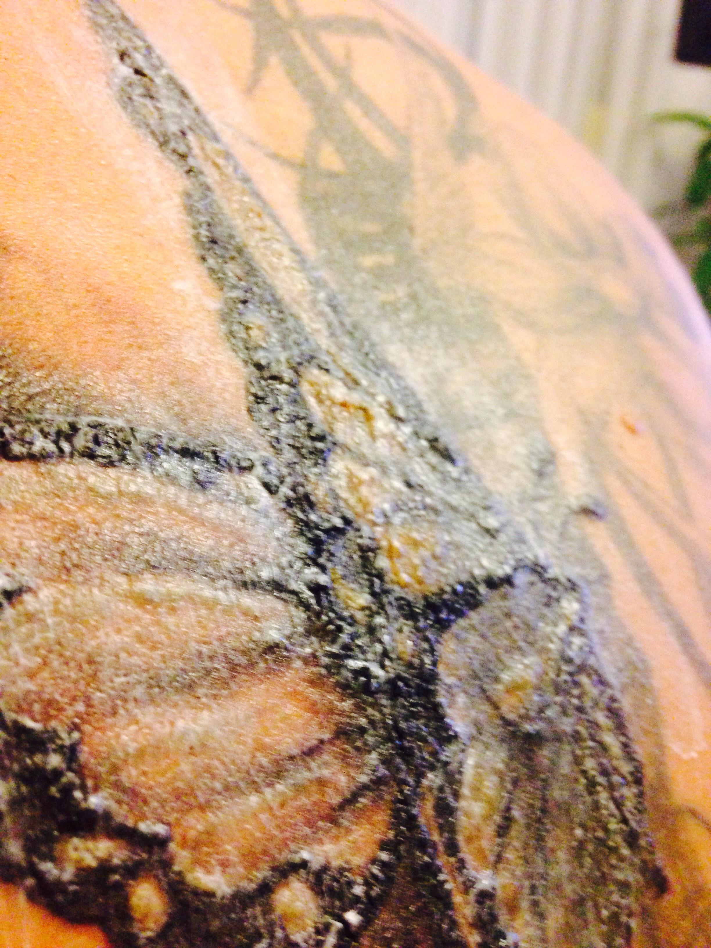 Ist eine solche Kruste bei tattoos normal? (Tattoo, Tattoo kruste)