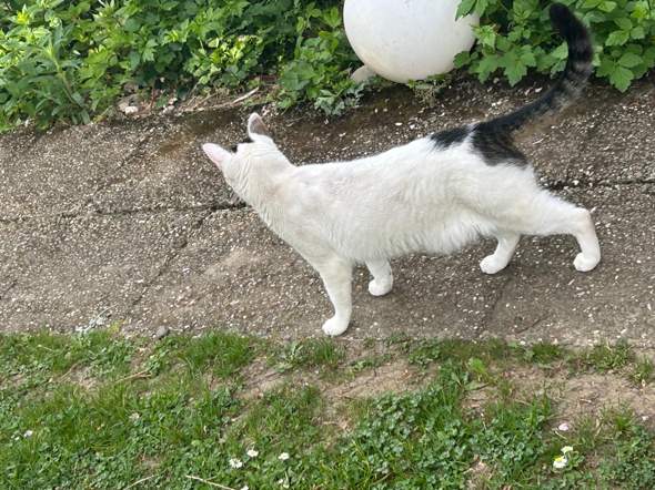 Bild zum Beitrag